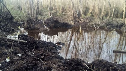 El lugar donde fue hallado el avión, un sitio pantanoso de difícil acceso
