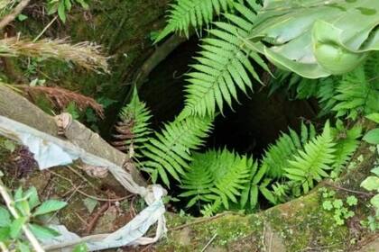 El lugar donde fue hallado el cuerpo de la taxista asesinada