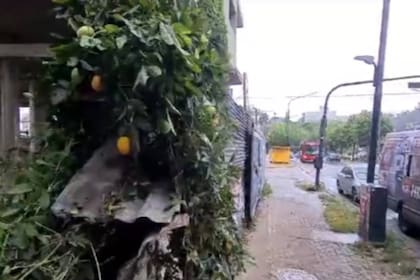 El lugar donde hallaron el cuerpo de la joven