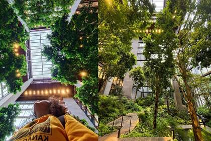 El lugar se convirtió en una visita obligada para los amantes de la arquitectura y la naturaleza