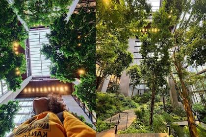 El lugar se ha convertido en un punto de visita obligada por los amantes de la arquitectura y la naturaleza