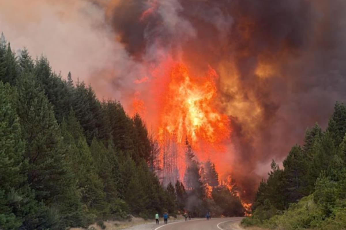 El lunes 5 de enero pasado, comenzaron los incendios en la comarca andina