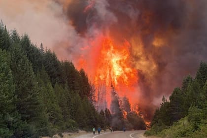 El lunes 5 de enero pasado, comenzaron los incendios en la comarca andina