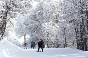 El lunes por la madrugada cayó una gran nevada en el cerro Chapelco