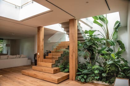El macetero de la base de la escalera interior es posible gracias al techo vidriado que permite que las especies de estilo tropical puedan prosperar