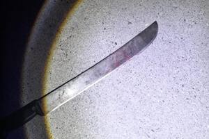 El machete que usó el dueño de la vivienda