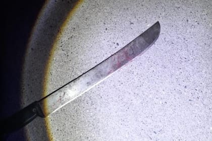 El machete que usó el dueño de la vivienda