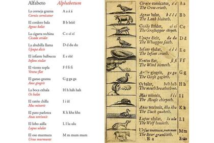 El maestro explica que primero el alumno debe aprender "los sonidos sencillos ... que los seres vivos saben hacer y tu lengua sabe imitar" (A la izquierda, imagen de "Orbis sensualium pictus" de la edición publicada por Libros del Zorro Rojo)