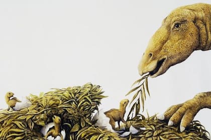 El Maiasaura ganó su nombre debido a la evidencia de "buena paternidad"