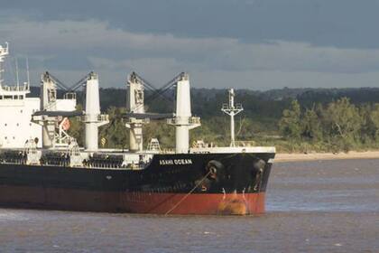 El maíz, clave para exportar