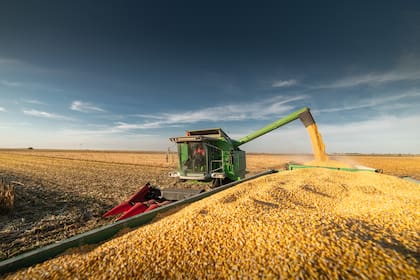 El maíz es el producto que más anotaciones tuvo en el registro para exportar