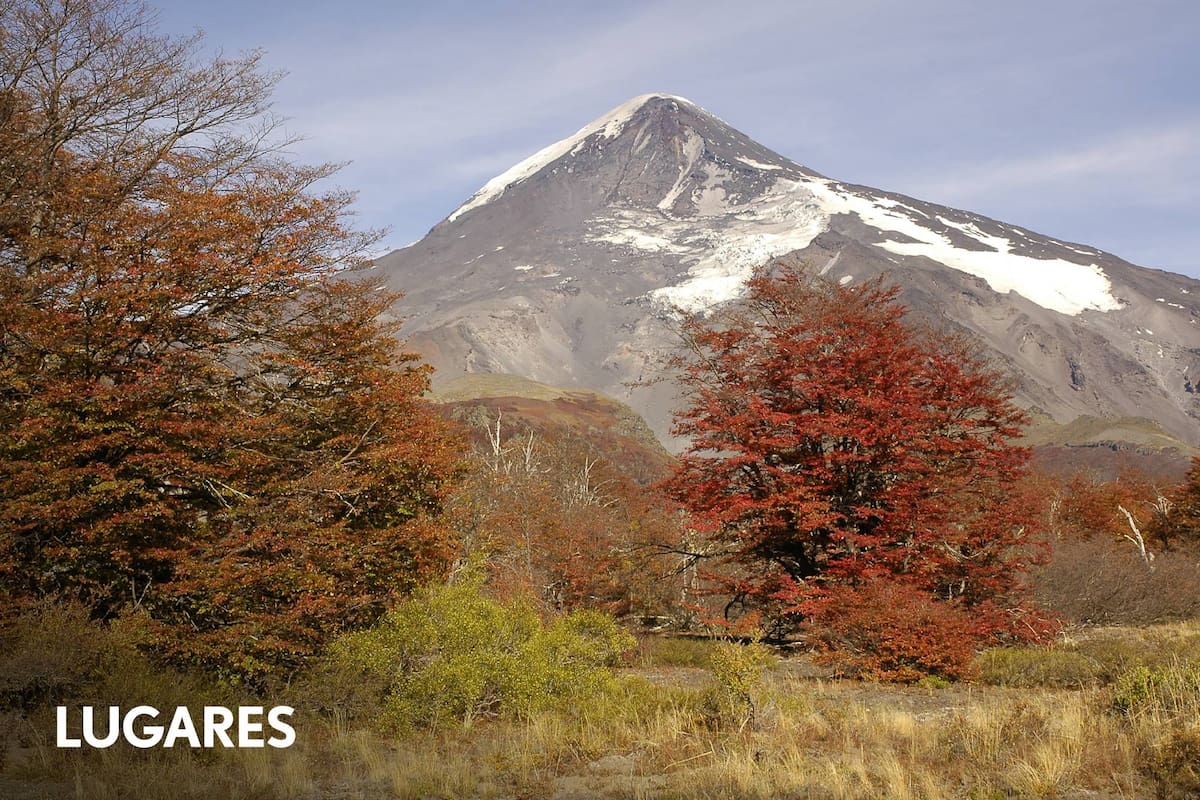 El majestuoso volcán Lanín y los árboles que comienzan a cambiar sus colores a fines de marzo