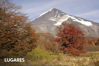 El majestuoso volcán Lanín y los árboles que comienzan a cambiar sus colores a fines de marzo