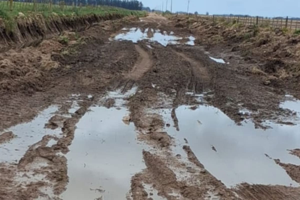 El mal estado de los caminos rurales de Necochea preocupa a los productores, que advierten sobre las dificultades para circular y trasladar la producción