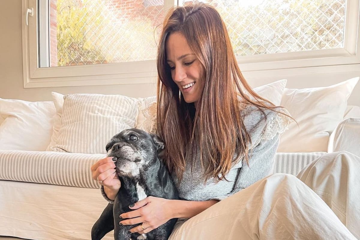 El mal momento de Paula Chaves con su perrito y el pedido desesperado: “Piensen cosas lindas de él”