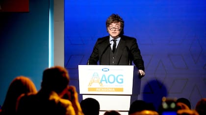 El mandamás durante su disertación en Neuquén por la apertura de la Expo Argentina Oil & Gas