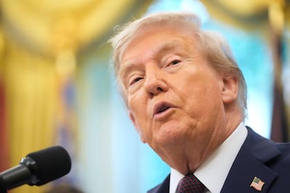 El mandatario tendrá tiempo de apelar el fallo hasta noviembre (AP Foto/Mark Schiefelbein)