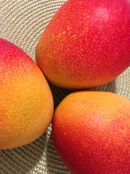 El mango contiene antioxidantes y compuestos bioactivos que pueden ayudar a mejorar la sensibilidad a la insulina