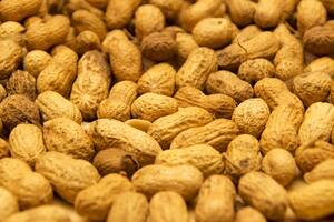 El maní es un alimento que aporta muchos beneficios al organismo (Foto: Pixabay)