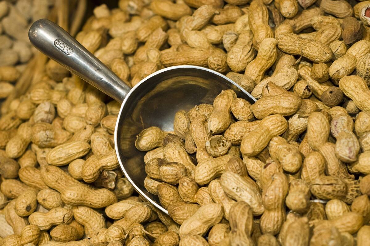 El maní representa el 1% de las exportaciones del país