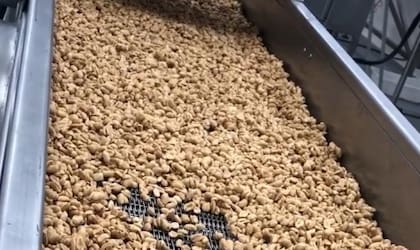 El maní tostado con miel se convirtió en la “estrella” de su portafolio a tal punto que la línea honey roasted tiene almendras, castañas de cajú, nuez y mix de frutos secos
