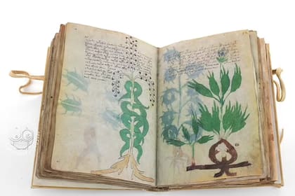 El manuscrito de Voynich fue descifrado por primera vez