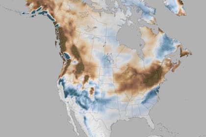 El mapa muestra la cantidad de nieve durante inviernos con presencia del fenómeno de El Niño. Los colores azules muestran más nieve que la media; los marrones muestran menos nieve que la media.