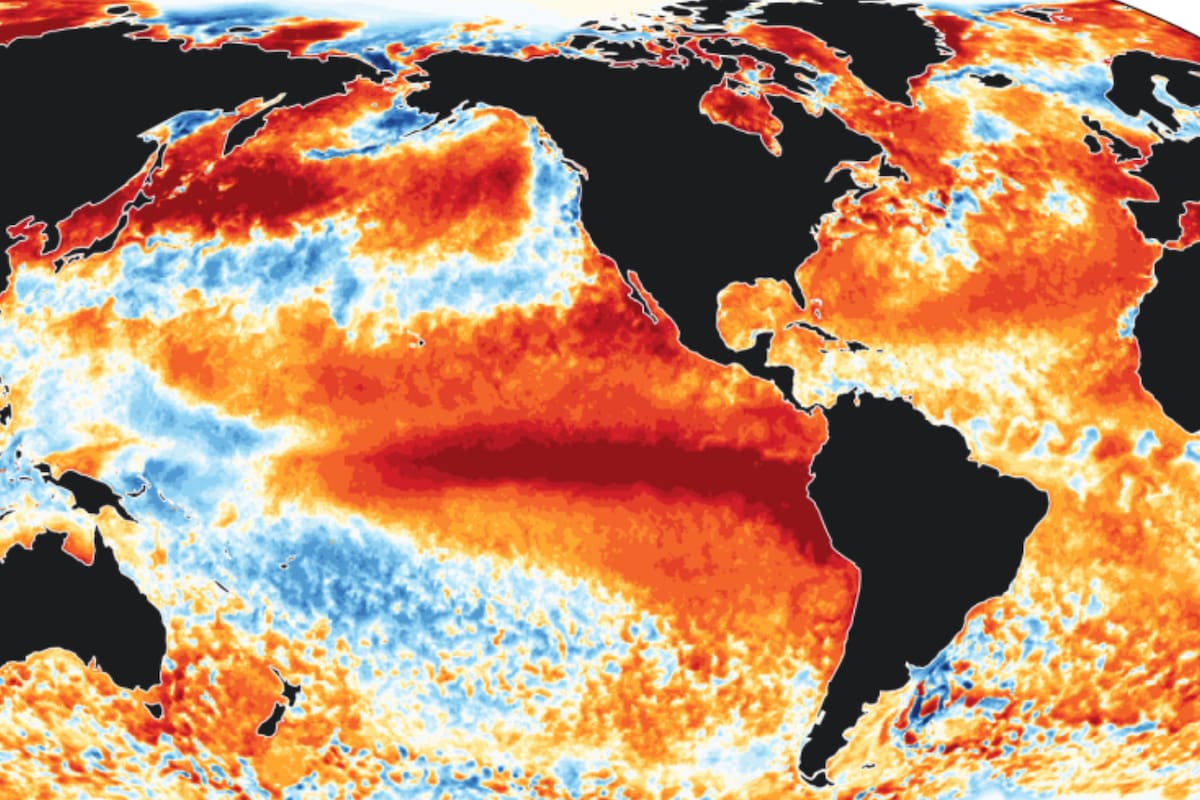 El mapa muestra temperaturas superiores a las habituales en amplias zonas de los océanos, con una marcada franja de aguas cálidas en el Pacífico tropical