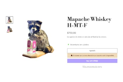 El mapache que adquirió Haaland durante su paso por Dallas