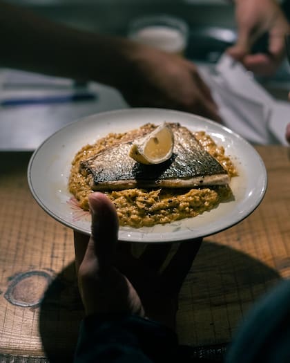 “El mar y la cocina nos enseñan a diario", dice Elio Contreras, uno de los cinco creadores de Proyecto Pescado.