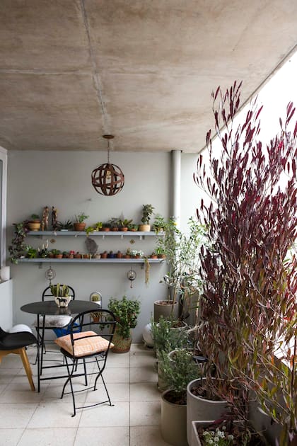 El marido de la artista Carolina Antoniadis, que es arquitecto, trajo bandejas portacables de una obra para darle apoyo a la colección de cactus de ambos.