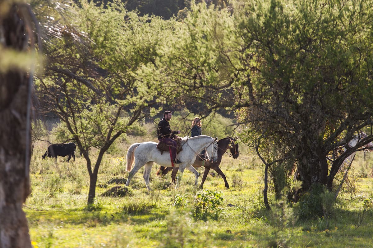 El martes 9 de julio es feriado y muchos se preguntan si el lunes se trabaja o no