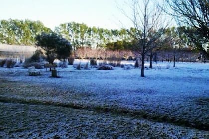 El martes a la madrugada nevó en Balcarce durante cinco minutos y el fenómeno podría repetirse en otras localidades de la provincia de Buenos Aires