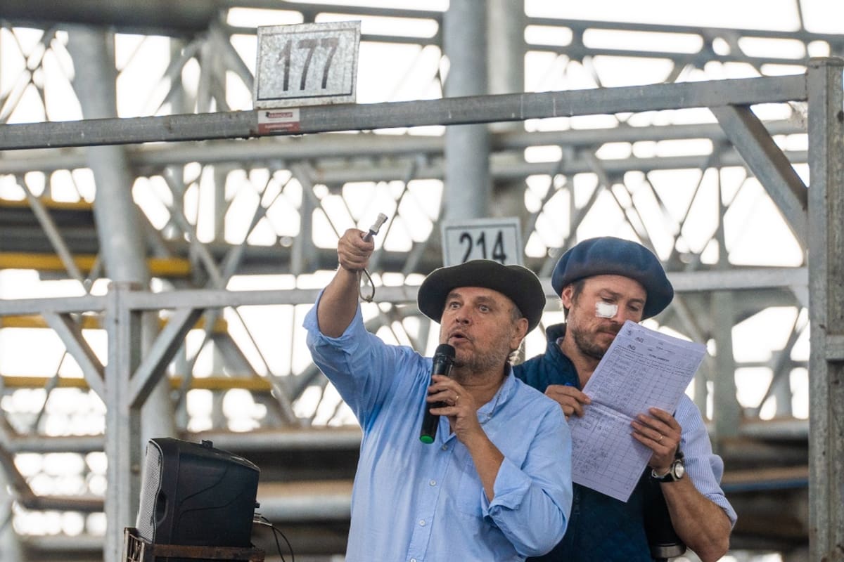 El martillero Fernando Sáenz Valiente en pleno remate realizado hoy