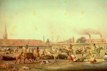 El Matadero, de Carlos Pellegrini