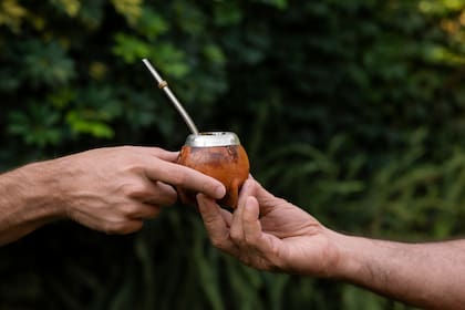 El mate dejó de ser una costumbre regional y comenzó a expandirse en Estados Unidos y Europa
