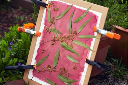 El material de nuestro jardín puede transformarse en la materia prima de nuevas imágenes