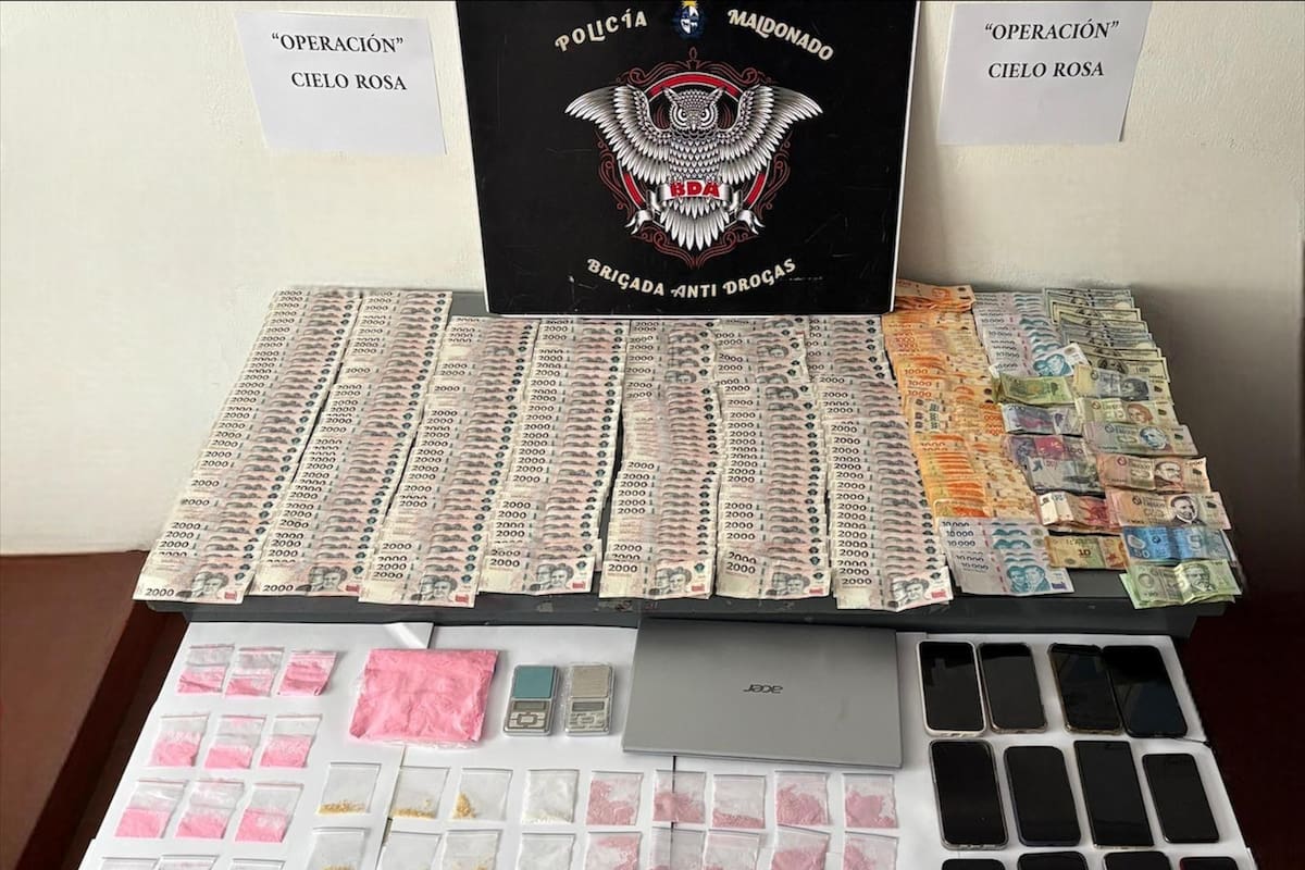 El material incautado en los autos y en las habitaciones de hotel de los detenidos