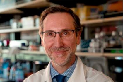 El médico español Antoni Ribas, líder de la investigación publicada en Nature Medicine