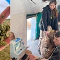 Una escuela investiga un valioso suplemento para la producción de una provincia