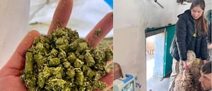 Una escuela investiga un valioso suplemento para la producción de una provincia