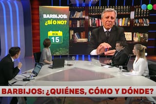 Coronavirus: el doctor López Rosetti explica la efectividad de los barbijos