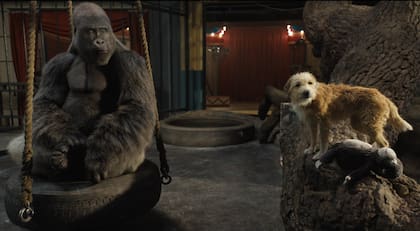 El mejor amigo de Iván es Bob, un perro al que le presta su voz Danny DeVito.