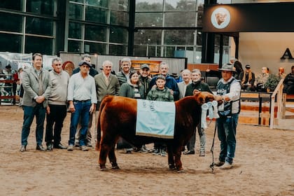 El Mejor Ternero Colorado fue para la cabaña Curacó, de Curacó SA