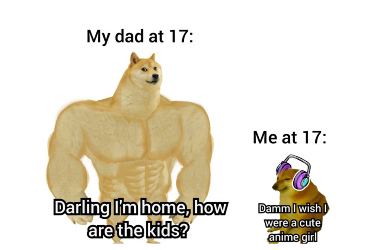 El meme de los perros que es furor en las redes sociales