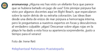 El mensaje de Año Nuevo State Park tras la aparición de la foca
