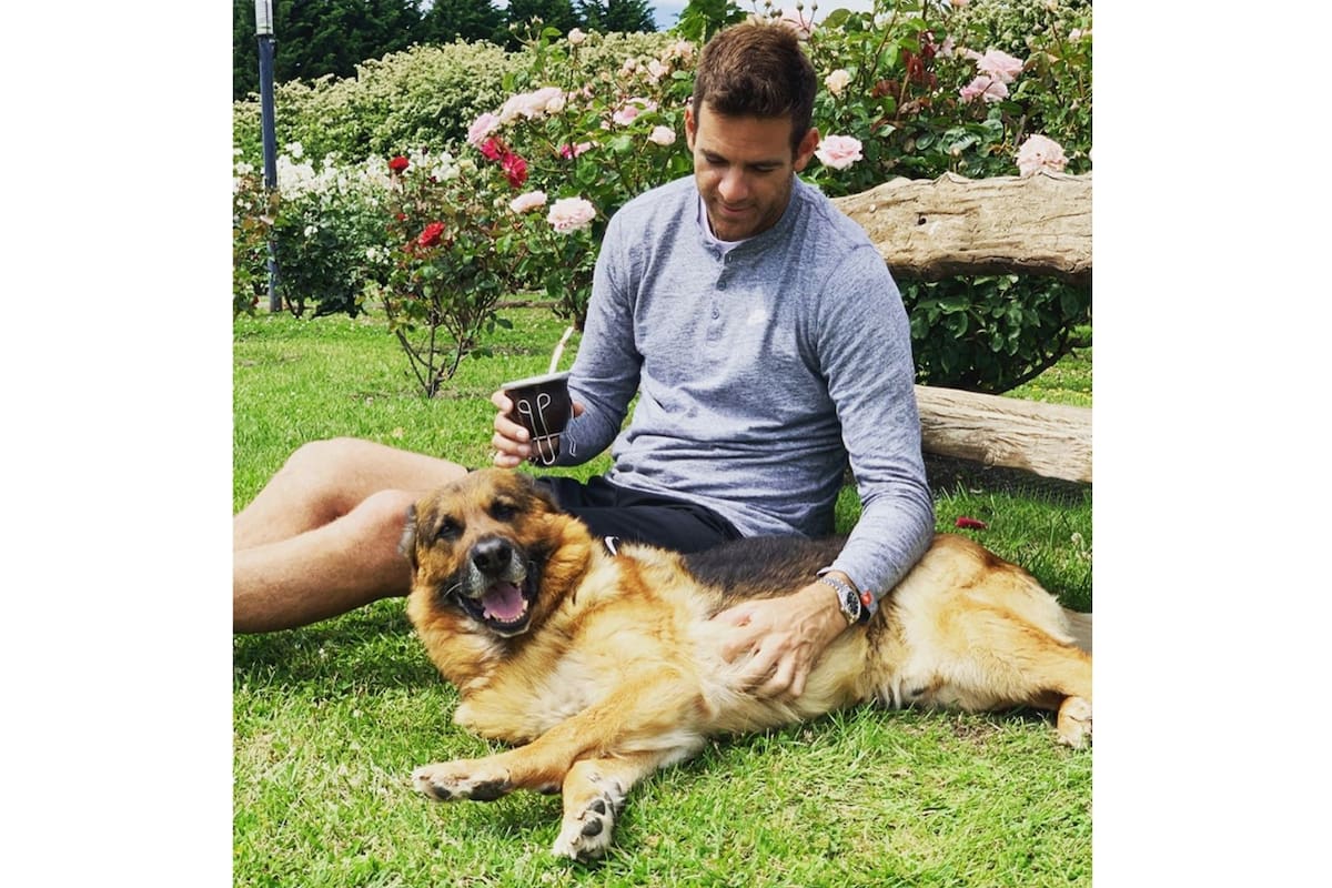 El mensaje de Del Potro, tras la muerte de su perro Astor