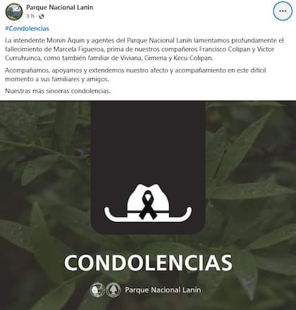 El mensaje de Facebook de Parque Nacional Lanín por la muerte de la joven en la Ruta de los Siete Lagos.