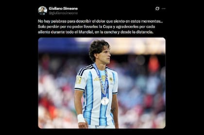 El mensaje de Giuliano Simeone a los hinchas argentinos: "Perdón por no poder llevarles la copa"