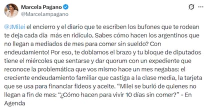 El mensaje de la diputada Marcela Pagano